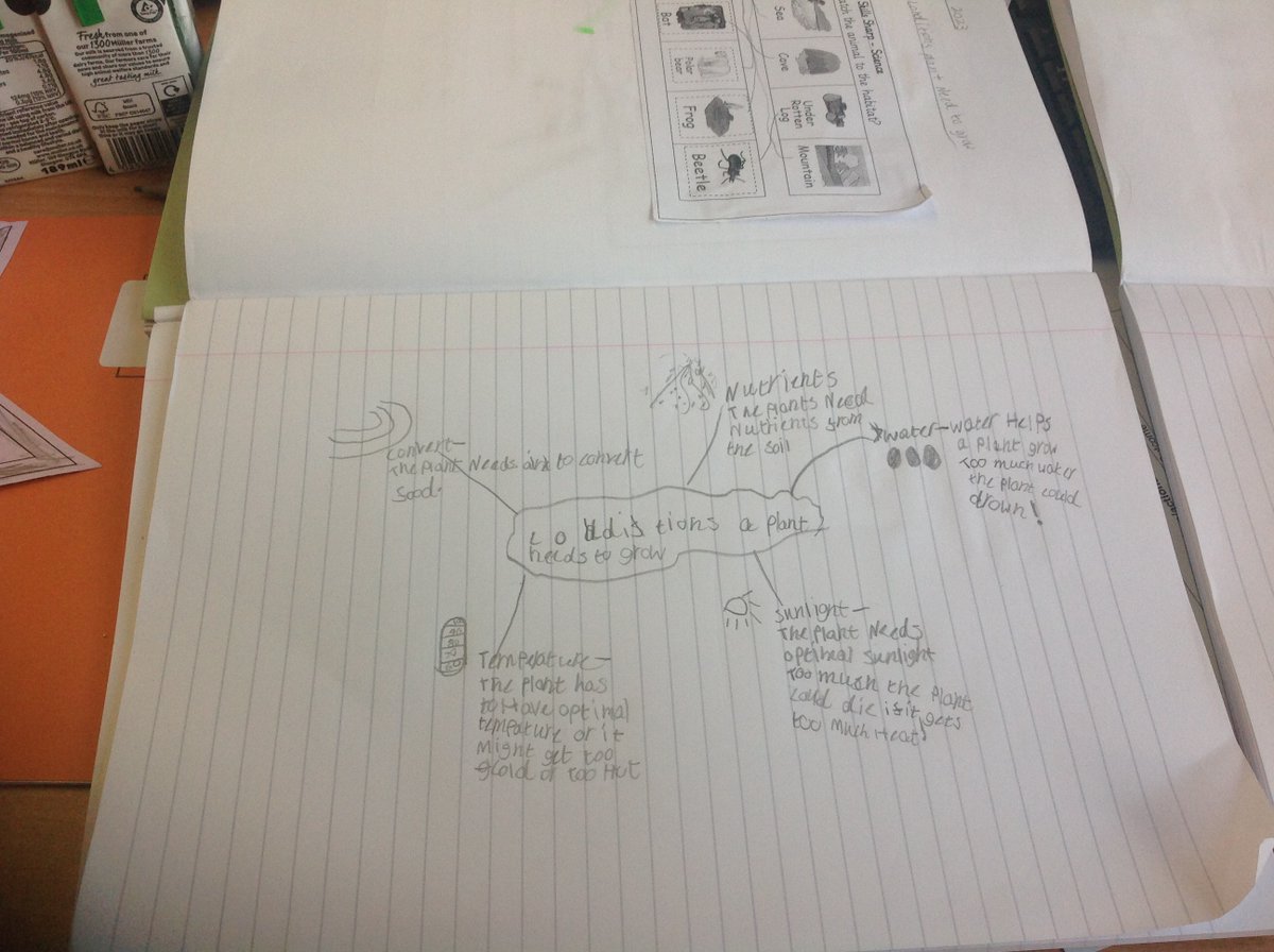 Year3Beck tweet media