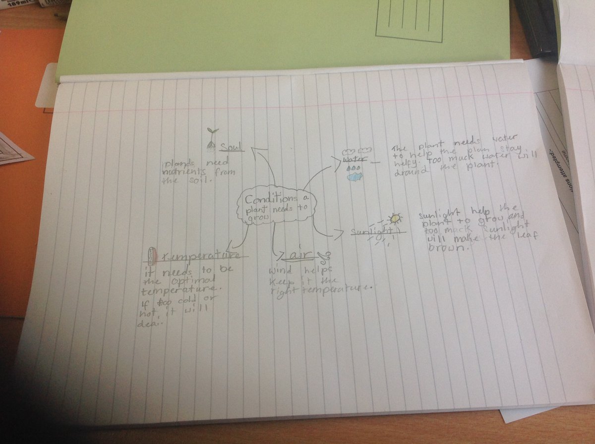 Year3Beck tweet media