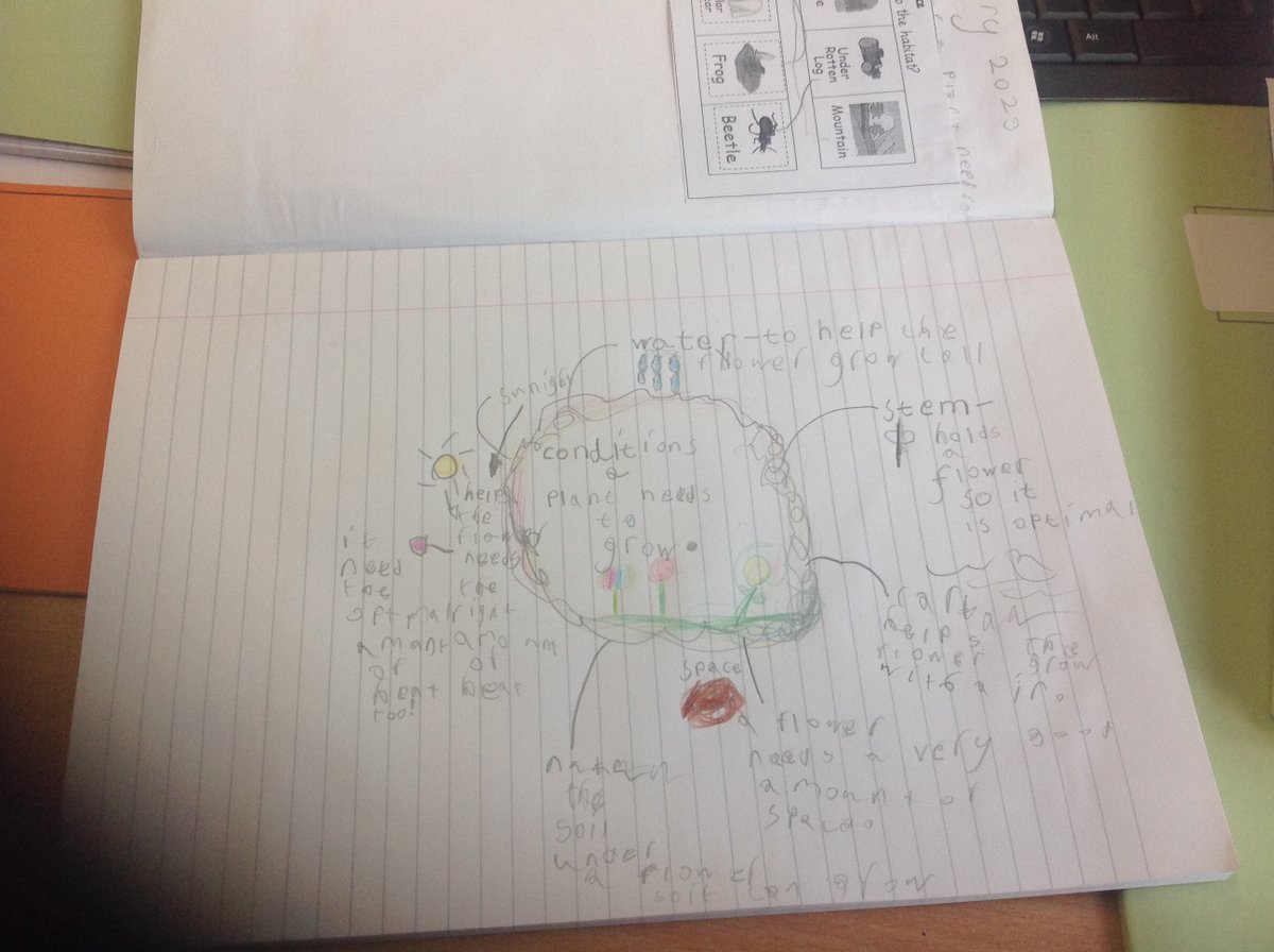 Year3Beck tweet media