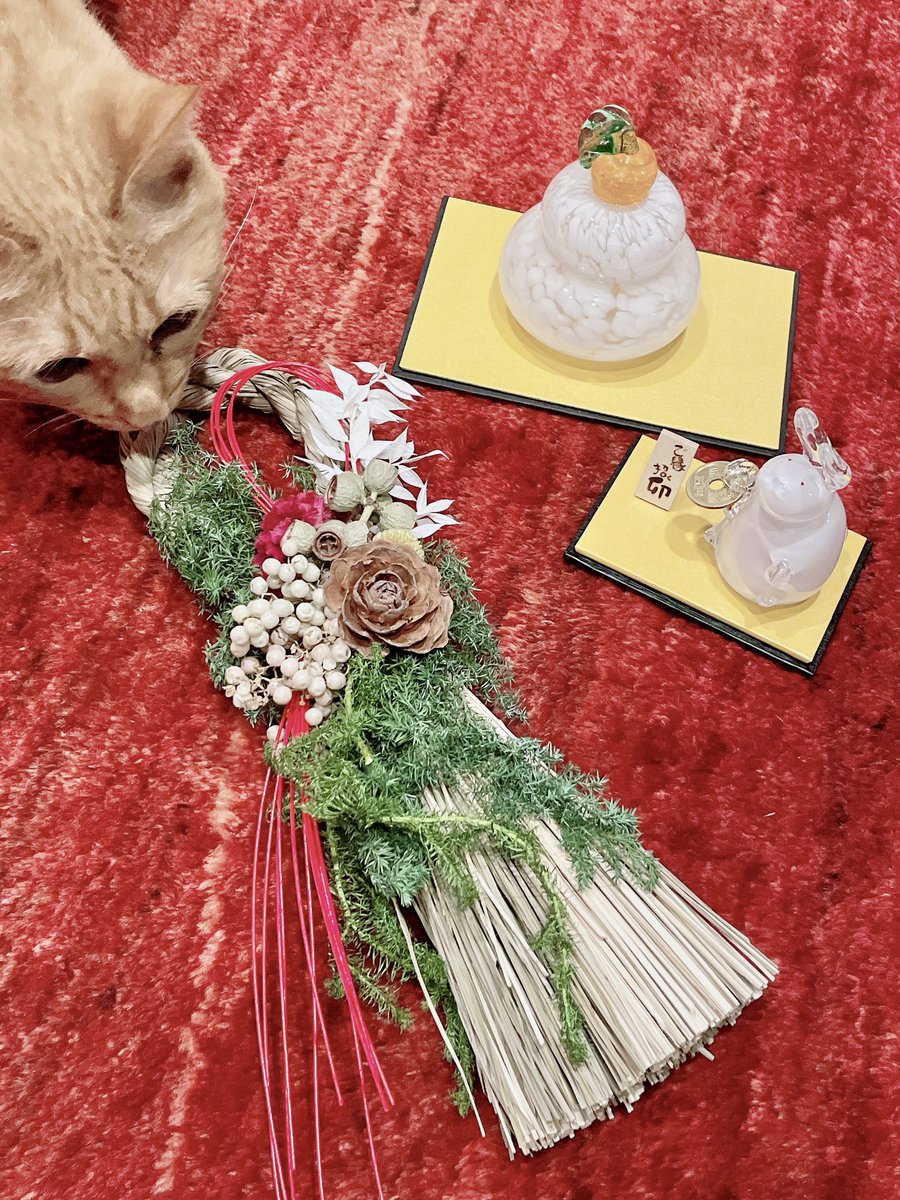 miyama274's tweet photo. 少し遅くなりましたが、明けましておめでとうございます！
今年もいたずら好きなニャンズ、今年はぴょんず⁉︎と共によろしくお願いします❣️٩(∗ ›ω‹ ∗)و https://t.co/WIRig8ROPK