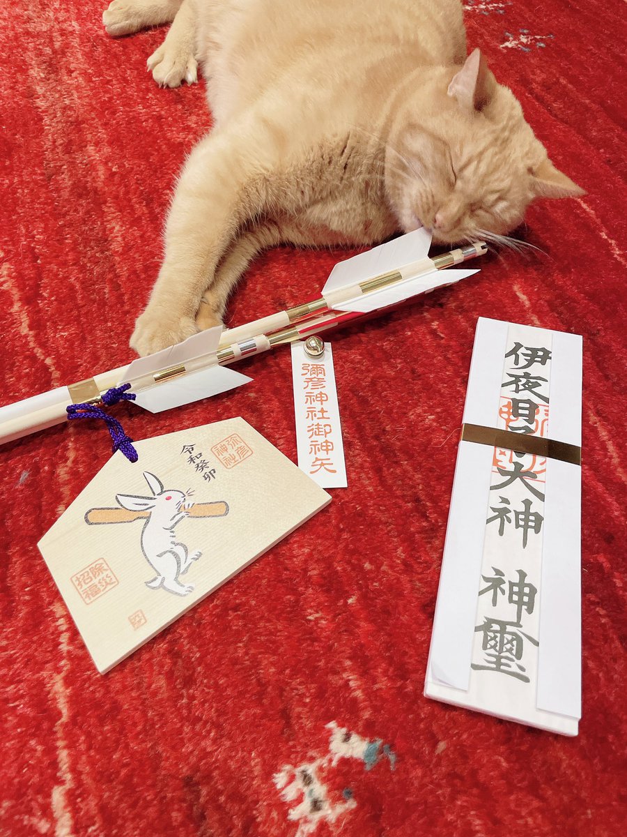 miyama274's tweet photo. 少し遅くなりましたが、明けましておめでとうございます！
今年もいたずら好きなニャンズ、今年はぴょんず⁉︎と共によろしくお願いします❣️٩(∗ ›ω‹ ∗)و https://t.co/WIRig8ROPK