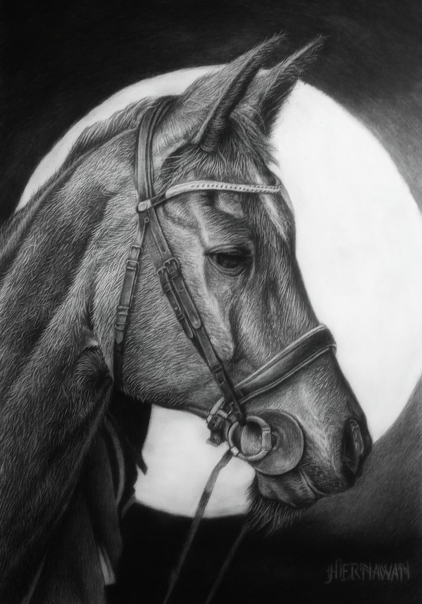 hernawan_art's tweet photo. The stallion.
I'm drawing of the stallion on paper with charcoal pencil. I hope you like it. 😊
#art #ArtistOnTwitter #horse #stallion #drawing #drawings #Pencildrawing #pencilart #sketch #realistic #traditionalart #illustration #blackandwhite #ArtistOfindonesia https://t.co/NQUhvWaZCR