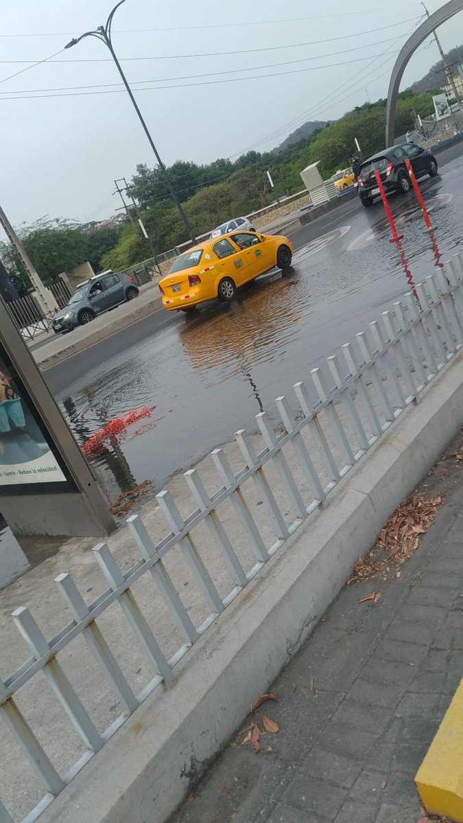 Edison Cusme tweet media