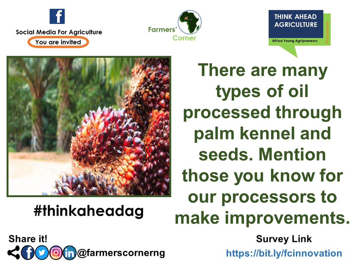 Mention types of oil through palm kennel and seeds for our processors to make improvements.

Tag a friend. #palmkennel #palmfruit #palmoil #oilprocessing #foodoil #oilmoney #thinkaheadag #farmerscornerng