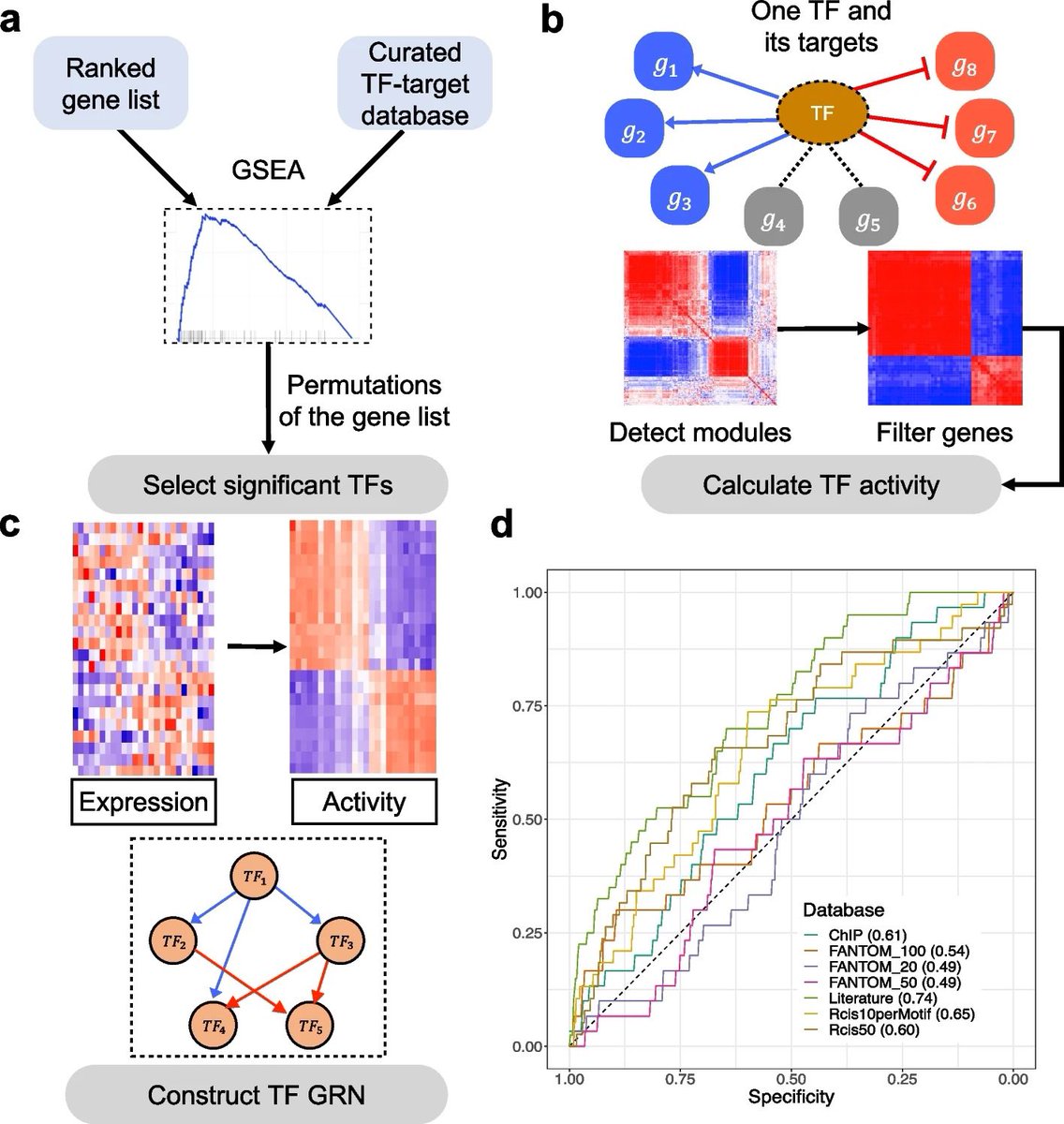 NetAct: a computational platform to construct core transcription factor regulatory networks using gene activity genomebiology.biomedcentral.com/articles/10.11…