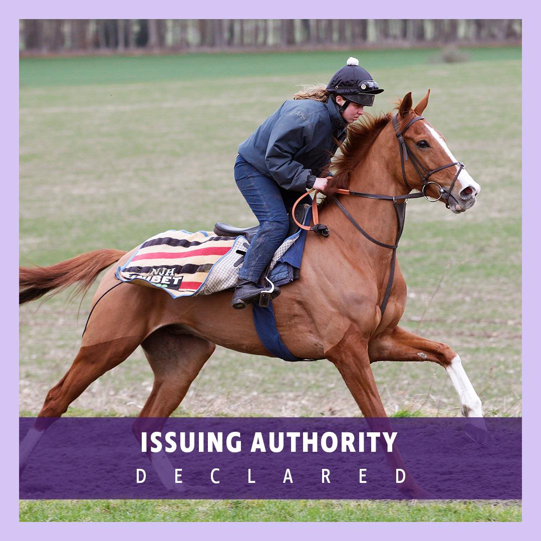 ownersgroupuk's tweet image. Nicky Henderson takes Issuing Authority to @DoncasterRaces today. He runs in the 12:45 under jockey James Bowen. Good luck to all of his owners 🤞 #OwnersGroup #IssuingAuthority