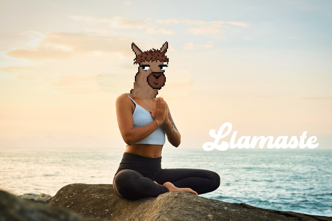 Llamaste - Meditation in five minutes via our discord! 

Open to Llama Holders 🦙☮️