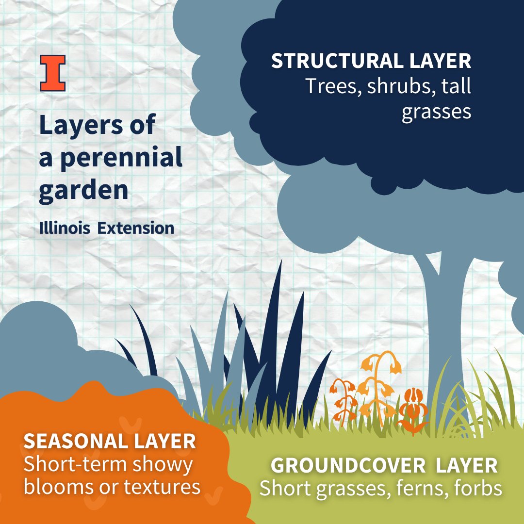Spring will be here before we know it! At least, that's what we keep telling ourselves. But in the meantime, why not plan a perennial garden? Explore how to create a beautiful and functional garden with structural, ground cover, and seasonal layers at go.illinois.edu/GardenersCorner