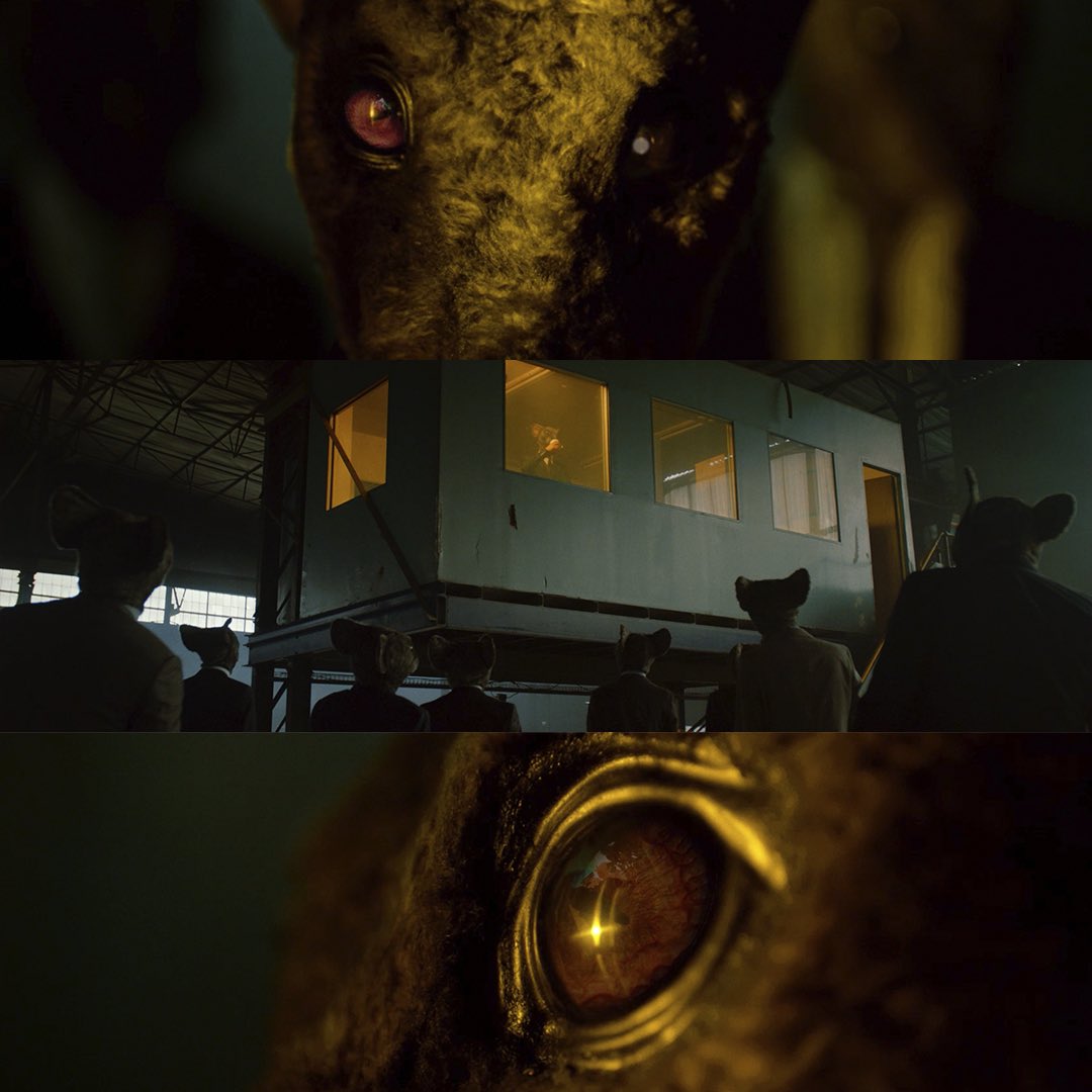 WabiProductions's tweet photo. Fausto Becatti delivers an incredible commercial. ✨ #casaproductora #directorfilm #visuals https://t.co/1ZQvBlooWB