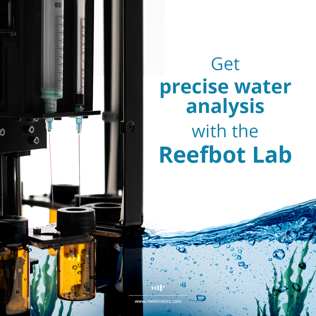 Reef Kinetics tweet media