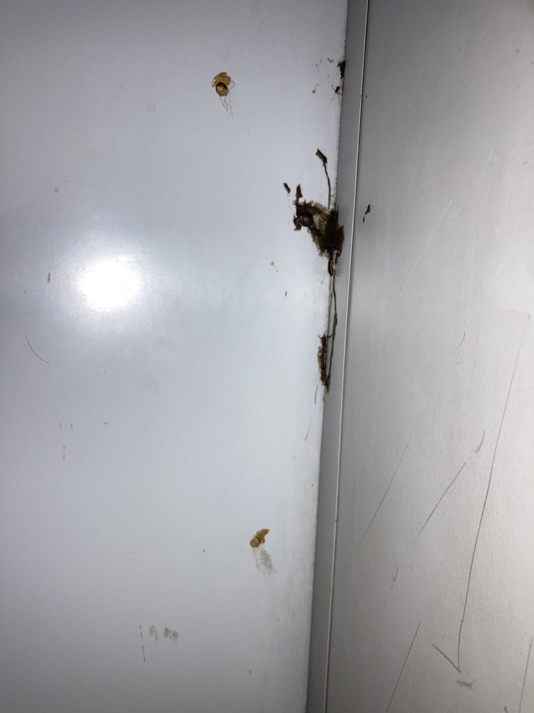 Sanjaykabir4's tweet photo. @RailMinIndia @AshwiniVaishnaw Indian Railway check due diligence for cleaning &amp; hygiene. photo portray negative remark... Train no. 12792, coach A2 (AC 2 tier) Seat no.2
Where many cockroaches are roaming , And passanger like me struggling to take rest https://t.co/CBk6gR8eiO
