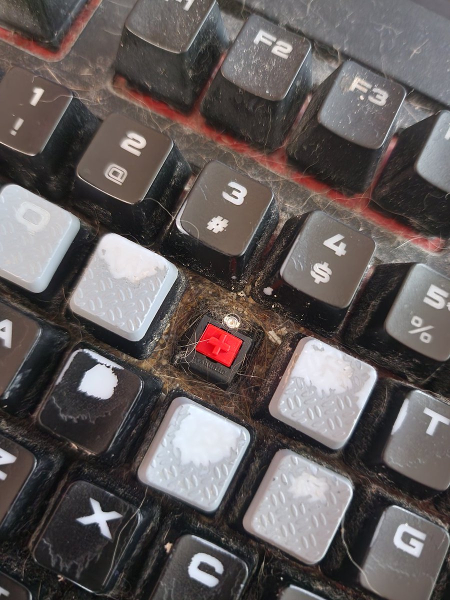 Kyanna 💚 tweet media