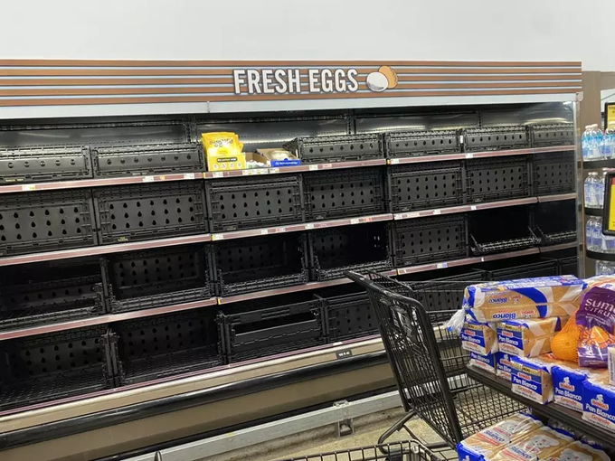 Syndicate650's tweet image. 去年爆发的禽流感，造成了成千上万的鸡禽因病而死，鸡蛋产量也大幅减少。而这星期加州一盒１２装的鸡蛋价格翻了三倍，由于产量减少，也造成鸡蛋柜经常被抢光