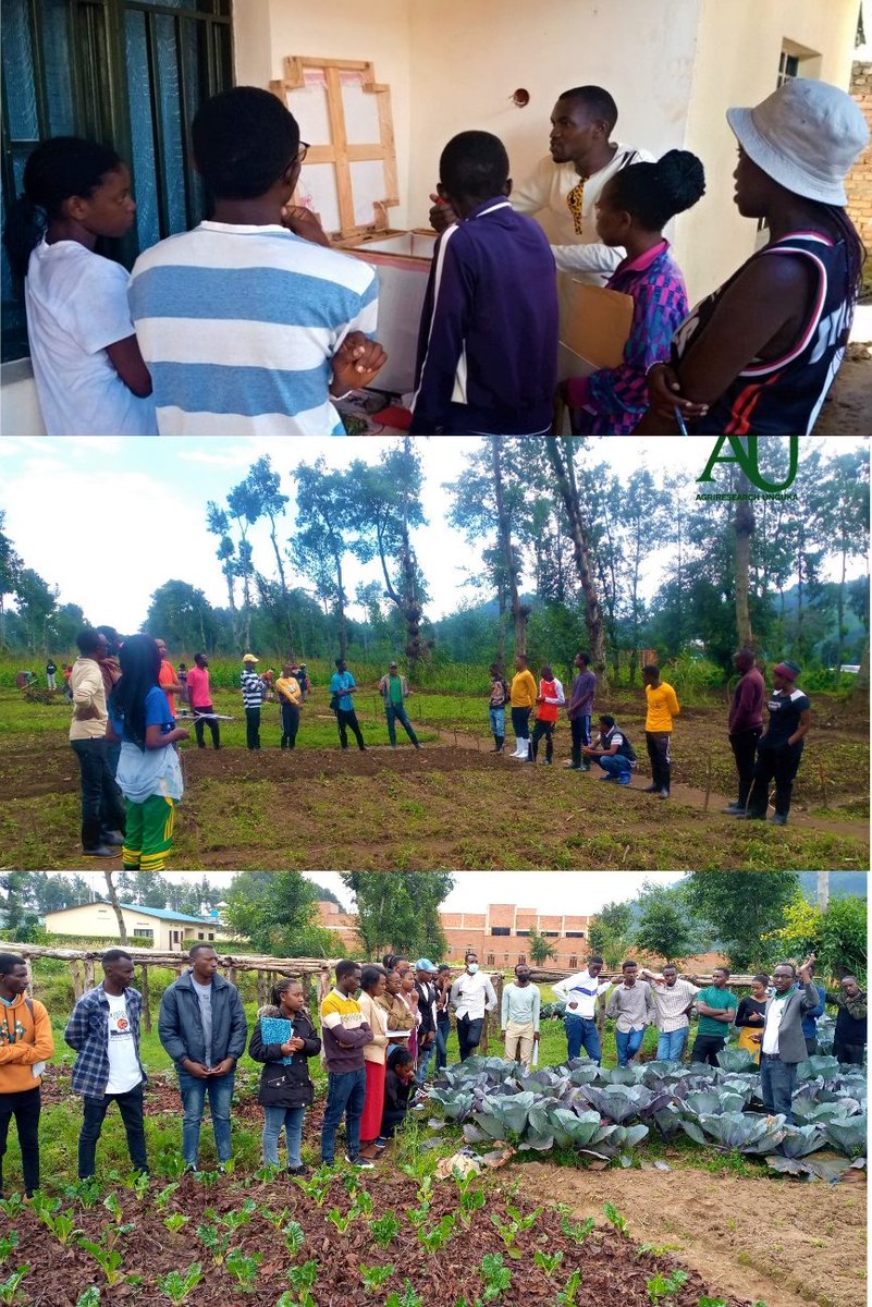 AGRIRESEARCHLtd's tweet photo. We welcomed above 110 students from @Uni_Rwanda,@RwandaPolytec for internship&amp;study visit and different actors in #HorticultureValueChain to learn from what we do,including #pomato,#ClimateSmartAgriculture &amp; #Foodlossreduction by "Zero Energy Cooling Chambers #ZEEC 
#Thread 
3/6 https://t.co/A0tXHzTRt7