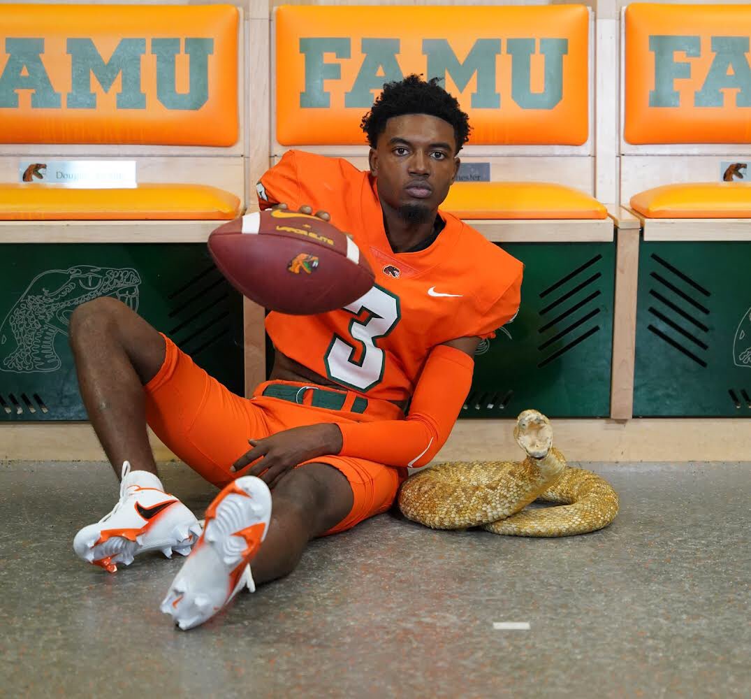 3DaRebel tweet media