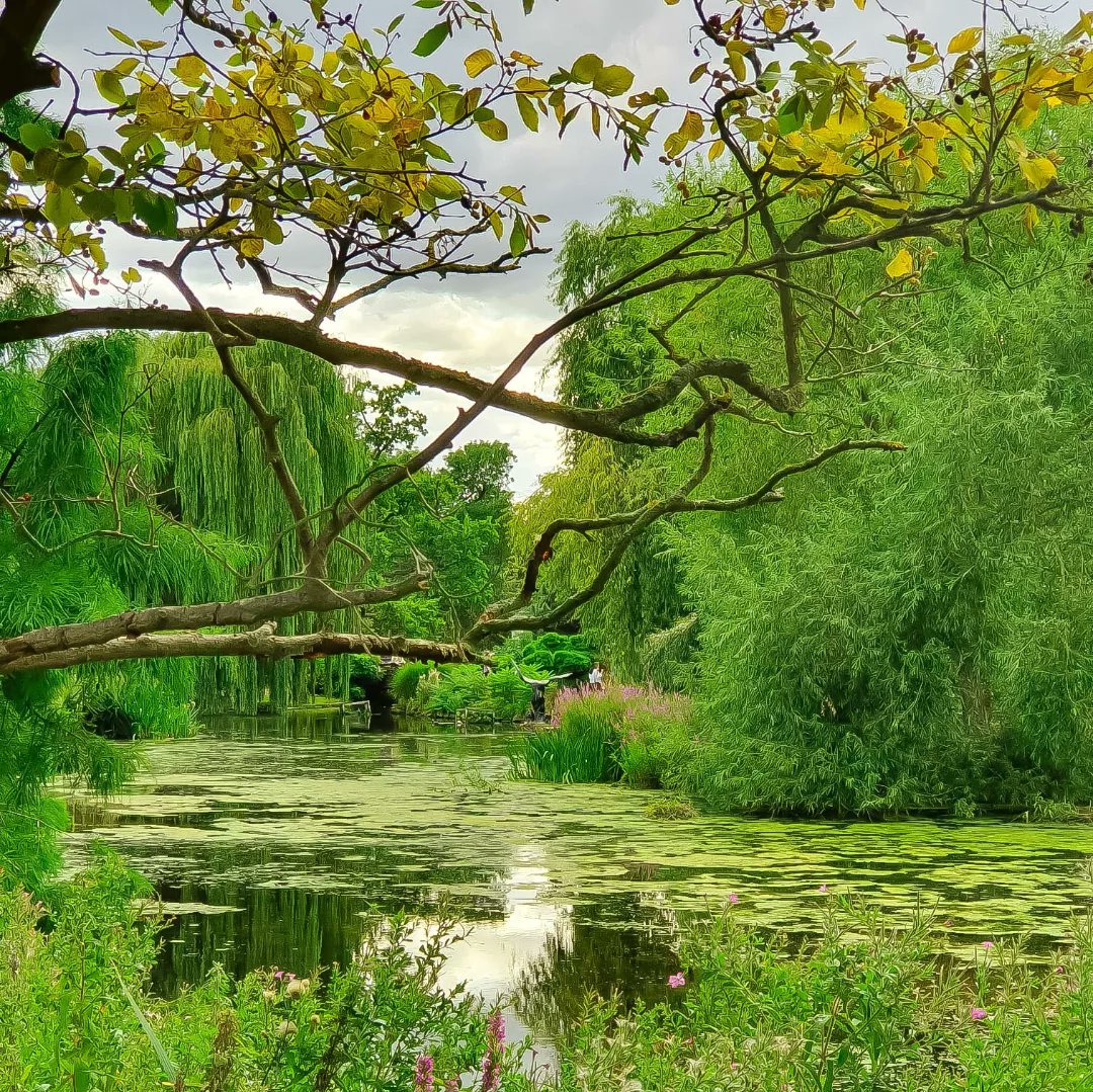 There's more to london.
.
.
#london #centrallondon #visitlondon #garden #citylife #beautifuldestinations #welivetoexplore #freedomthinkers #stayandwander #letsgosomewhere #outdoors #breathtaking #obulaskenky
#naturephotography #naturelovers #landscape #canonphotography #Travel