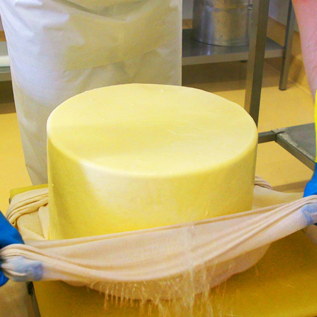 Cheese from all around the world: 🧀 

American
Asiago
Blue Cheese
Bocconcini
Brie
Burrata
Camembert...