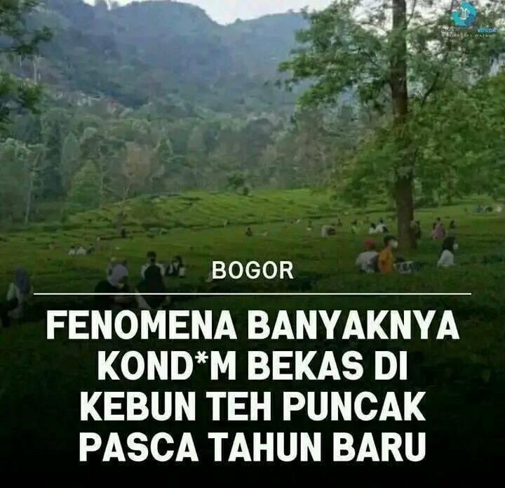 sosmed keras tweet media