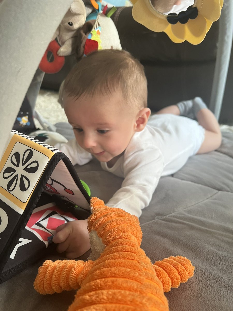 AgriPV10's tweet photo. Este galán hoy cumple 5 meses!
Meg se fue de viaje de chamba así que me lo quedo esta semana 😰
Gracias a diosito viene mi madre a echarme la mano, además Megan dejó listo todo un manual! #BabyLogan https://t.co/PRWzM8L9XI