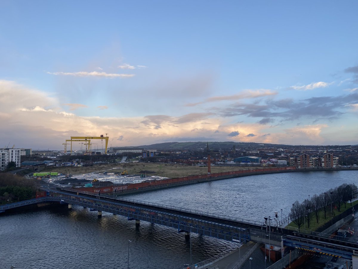 Prof Niamh Forde tweet media