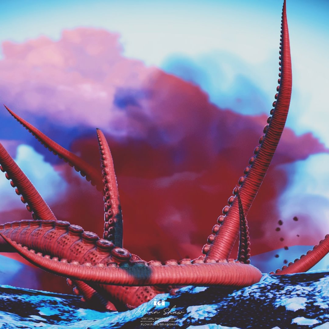 Brian Shaw ✮ tweet media