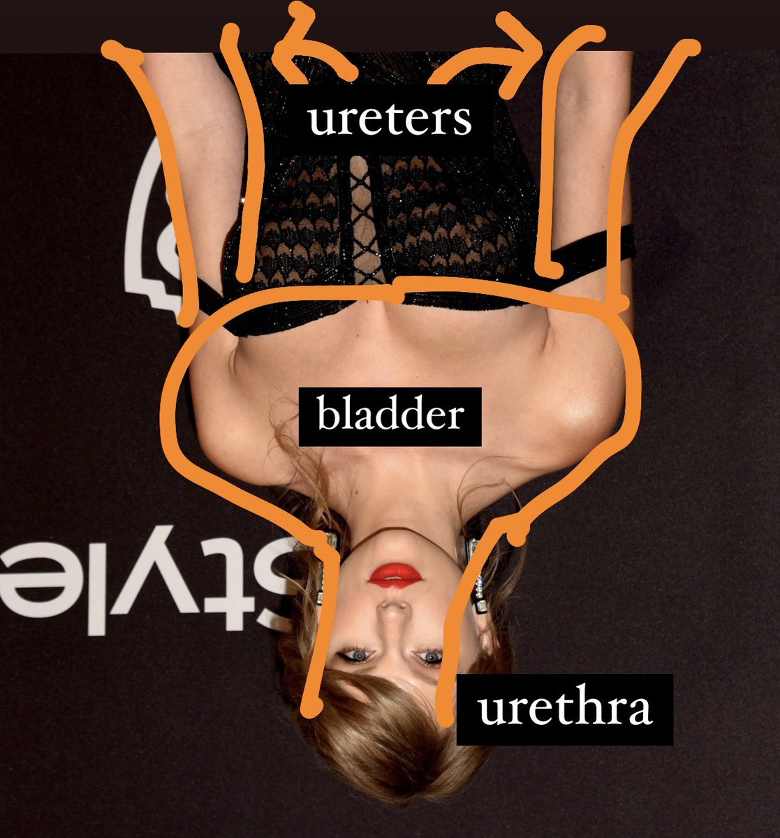 Y’all are making fun of this but hear me out