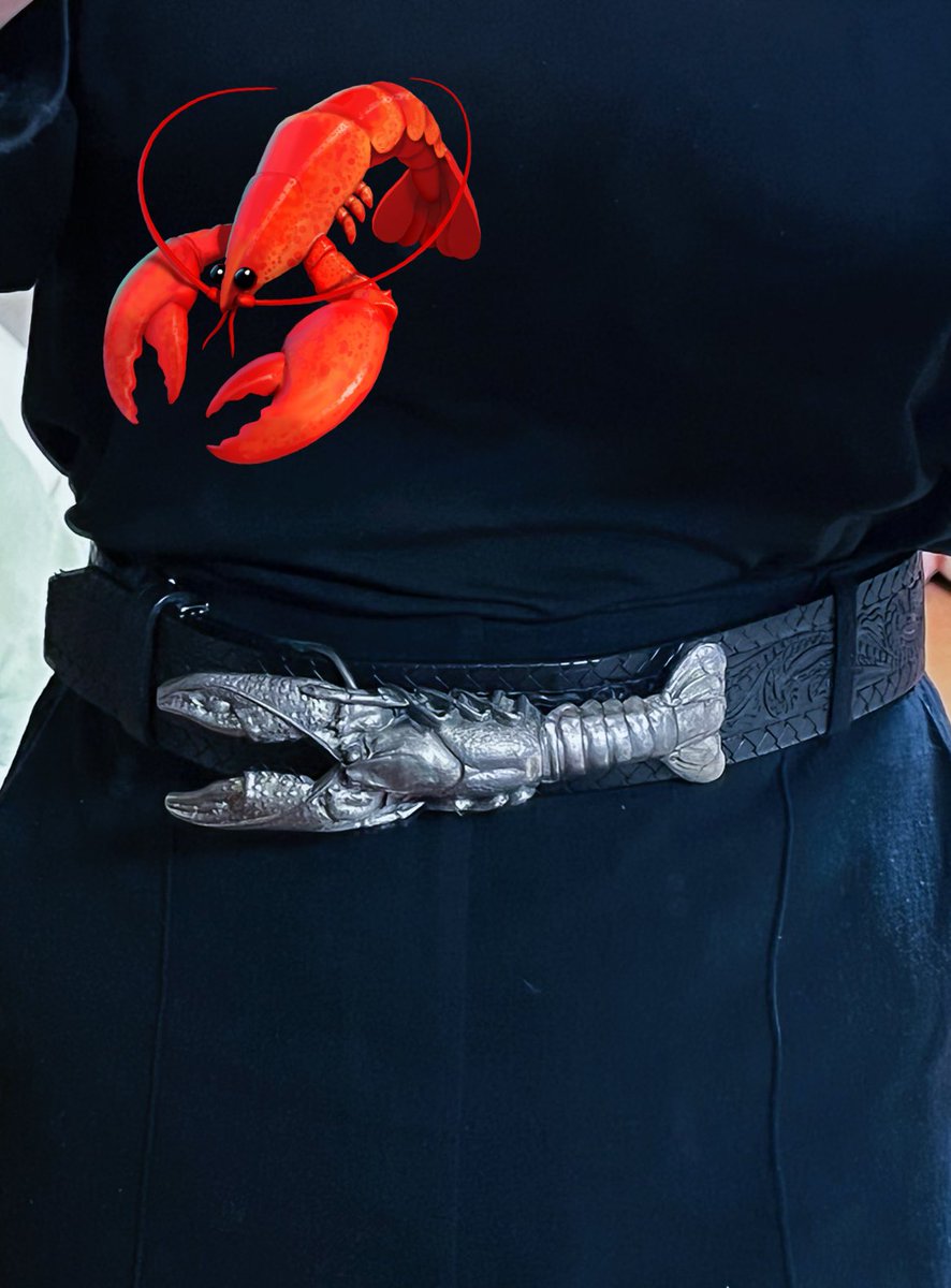 solo belt pants black shirt shirt bug close-up  illustration images