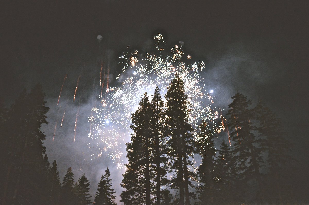Happy new year everybody! Let there be many regrowing forests in 2023 ✨ 
Picture by Kimson Doan