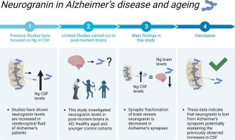 Prof Tara Spires-Jones tweet media