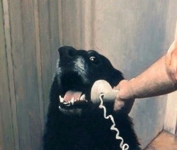 hhemit_'s tweet photo. Алло,Галочка? https://t.co/o3Shl1MtnN