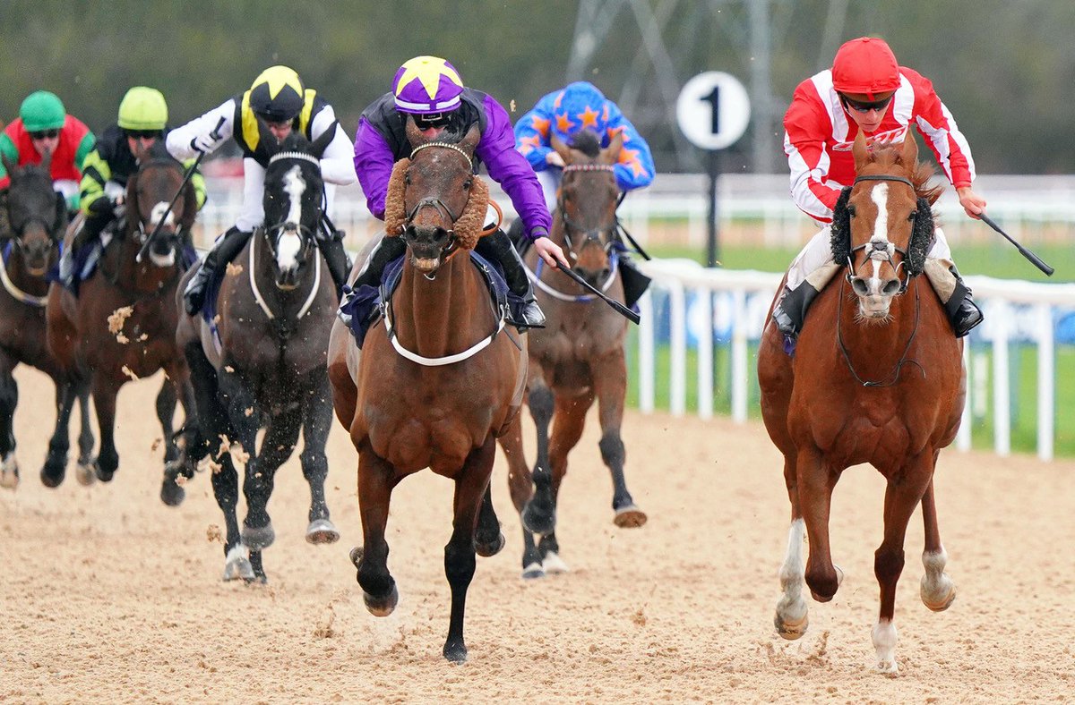 Southwell_Races's tweet image. RACE 4 RESULT- @BetUKOfficial Over 40,000 Live Streamed Races Conditions Stakes (All-Weather Championships Fast-Track Qual&apos;)

🥇 Berkshire Rocco 

Jockey: #JasonWatson
Trainer: #AndrewBalding 
Owner(s): Berkshire Parts &amp;amp; Panels Ltd No1 Fanclub

Photo by Tony Knapton