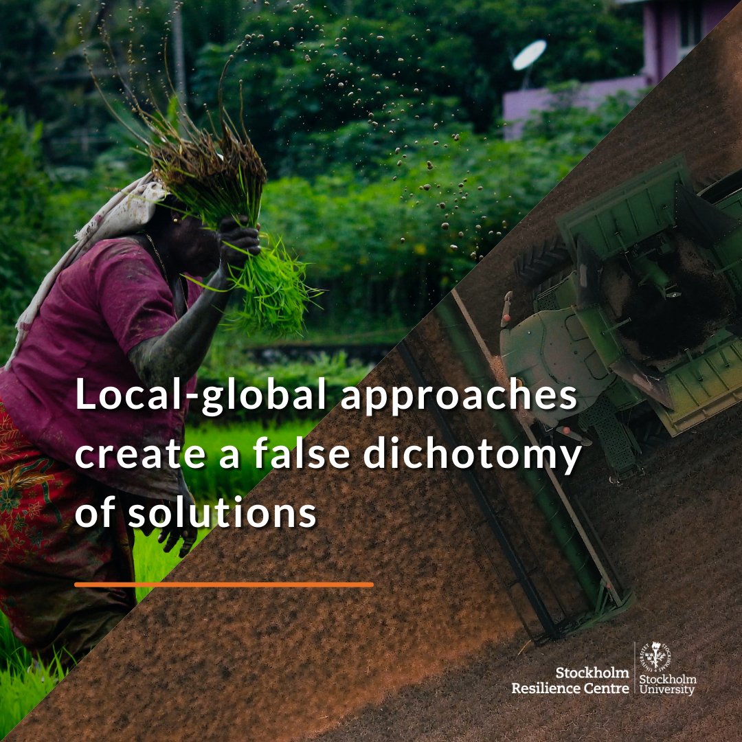 sthlmresilience's tweet photo. We cannot tackle food crises by taking either a local or global perspective – we need both.

The authors of a new study identify 4 ‘aching points’ facing food systems and apply a resilience lens for solutions that support change at all scales.

Read more: https://t.co/NB49gbbJ6R https://t.co/QkRmTWRwvw