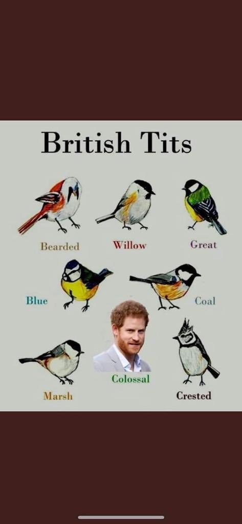 bel_avocat's tweet image. #AbolishTheMonarchy #Harryinterview