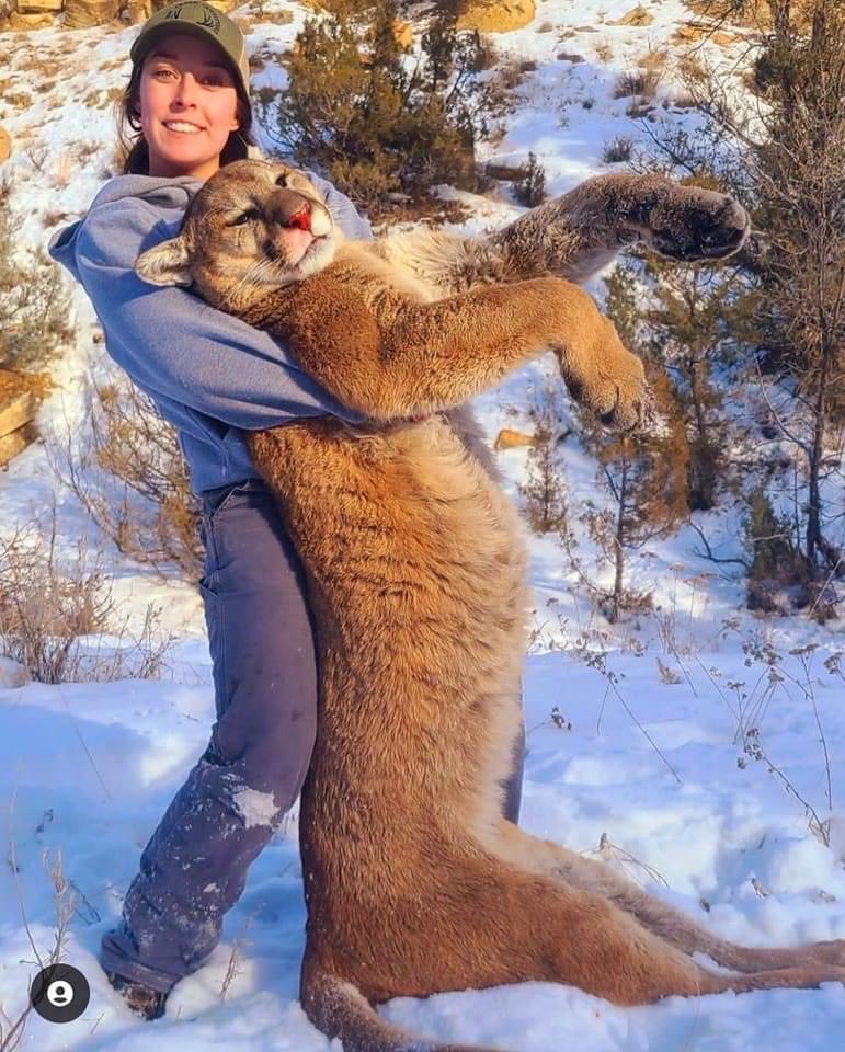 TrophyXpose's tweet photo. Cheerleader Lacy Flanagan (Montana) was just "out and about" when she spotted &amp; killed this beautiful mountain lion. Lacy, why couldn't you just leave him ALONE for crying out loud?🤦🏻‍♀️
🙏🏼RT
#BanTrophyHunting
@rickygervais @tarastrong @Lin11W @_Pehicc @Angelux1111 @SARA2001NOOR https://t.co/Np2uv0gFO1
