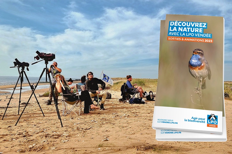 LPOVendee's tweet photo. Le programme des sorties 2023 de la LPO en Vendée est disponible : retrouvez les 200 rendez-vous proposés pour découvrir la nature par la LPO Vendée et ses partenaires  sur https://t.co/5TO50YSYxu
@AigPresquile @larochesuryonfr @lpst_ecocom @VilleFontenay @Ile2Noirmoutier https://t.co/a7uTSjQDgT