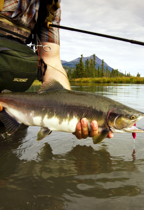 .<a href="/USFWS/">U.S. Fish and Wildlife Service</a> has released its fee free days for 2023, see you out there!

Jan. 16: MLK Day
Feb. 20: President's Day 
June 19: Juneteenth
Aug. 4: Great American Outdoors Act
Sept. 23: National Public Lands Day
Oct. 8: National Refuge Week
Nov. 11: Veteran's Day