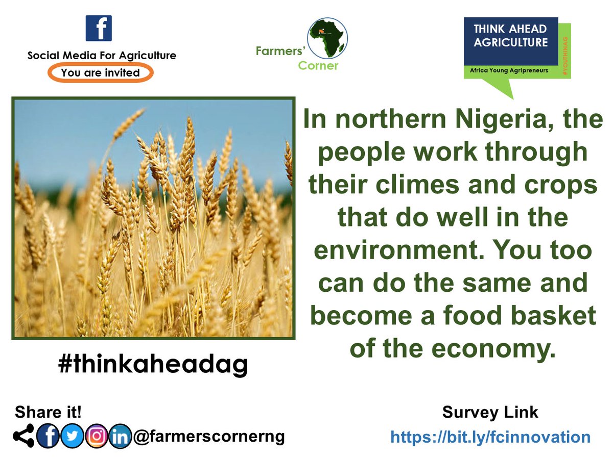 You can never see northerners of Nigeria growing crops like plantain and rubber because these crops are not suitable for their environment. Think of your environment to become a food hero.

Tag a friend. #biodiversity #climes #environmental #farming #thinkaheadag #farmerscornerng