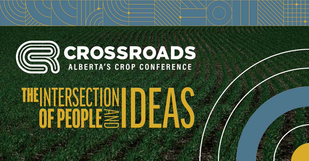 CrossRoadsCrop's tweet photo. We are counting down the days until CrossRoads — Alberta’s new Crop Conference! #AgTwitter and #Farmers — join us for an intimate look at key farm gate topics like navigating your grain contracts and the roadmap to 2050! Limited tickets are available at https://t.co/yjF9qERICL 🎟️ https://t.co/krT3uI6fgQ