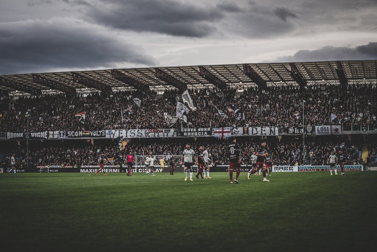 orogelstadium tweet media