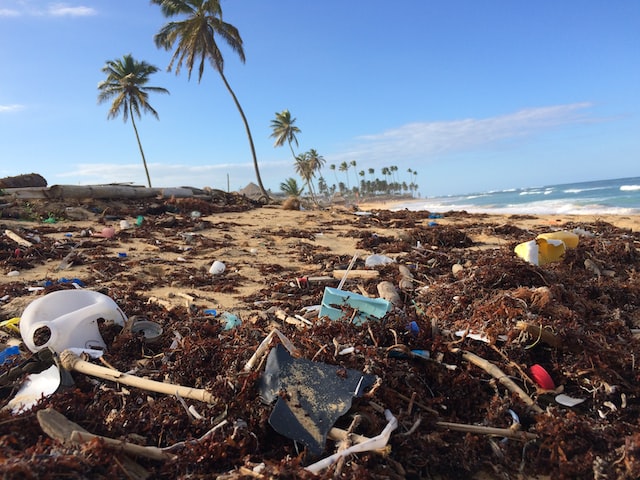 TheSaltyHands's tweet photo. Introducing @OpenOceansGlobl - an organisation that’s stopping plastic from reaching the oceans using an Ocean Plastic Trash Map & #citizenscience: https://t.co/MlJZPF0so7 #openoceans #citizenscience #beachcleanups #trashfreeseas #plastic #plasticpollution #trashmap https://t.co/09VNh1xcvG