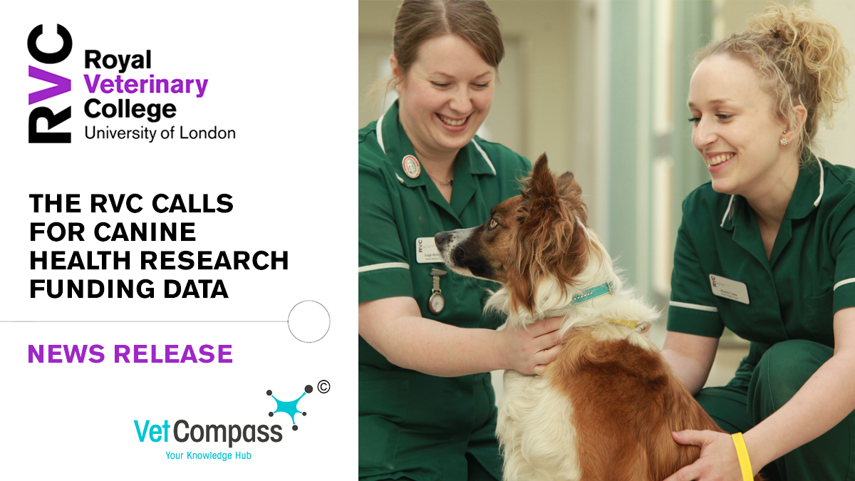 🐕 Researchers at the RVC are calling on specialist veterinary and non-university organisations that carry out research into canine health and welfare to participate in a study which seeks to inform future funding strategies.

➡️ Read more at: rvc.uk.com/canine-health-…