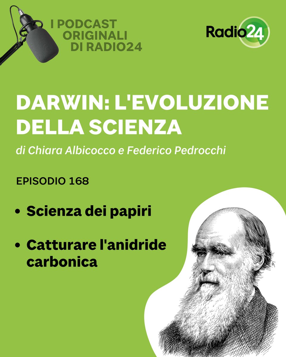 Radio 24 tweet media