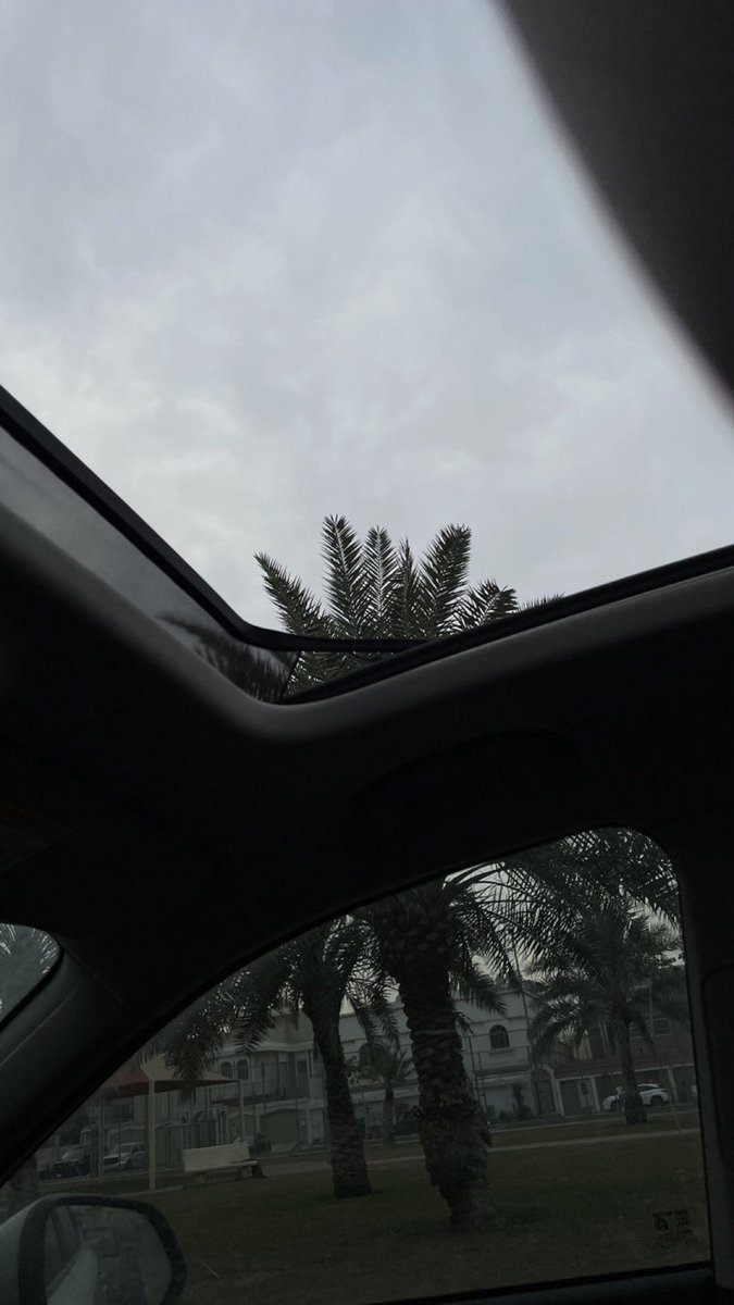 3__mwi's tweet photo. وضممتُ حُبك في السماءِ كأنني
تلكَ الغيومُ وأنت زخّاتُ المَطر.*
❤️ https://t.co/ISN9ek8QnO