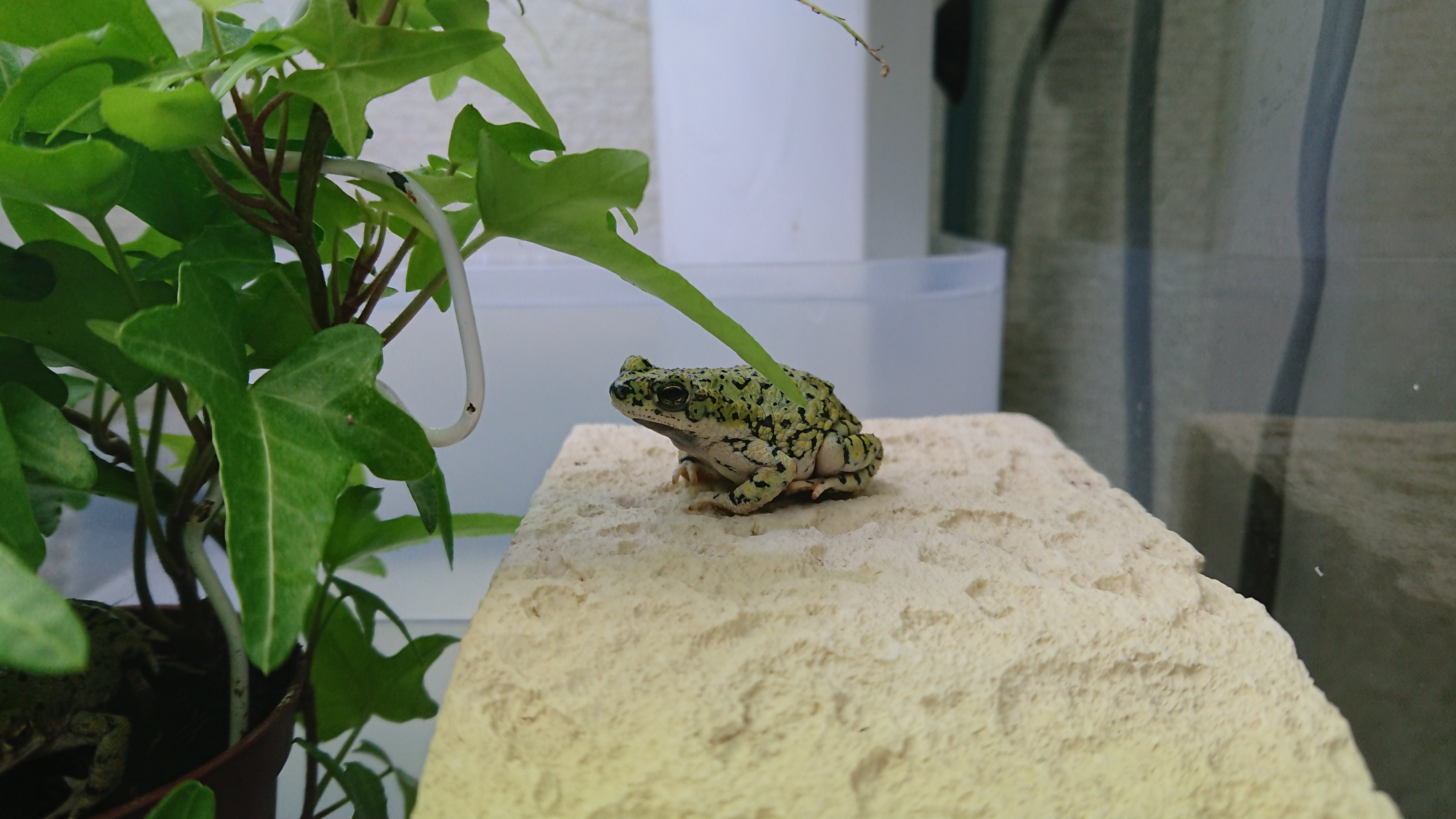 【真作】土生勝宣/水墨山水図/滝山水図/掛軸☆宝船☆Y-754　JM 真作】土生勝宣/水墨山水図/滝山水図/掛軸☆宝船☆Y-754