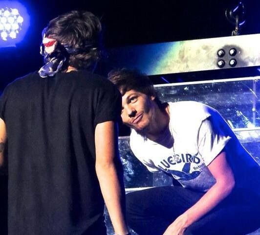 Be 💛 Zaynuary on Twitter: "Louis wore his bluebird shirt during