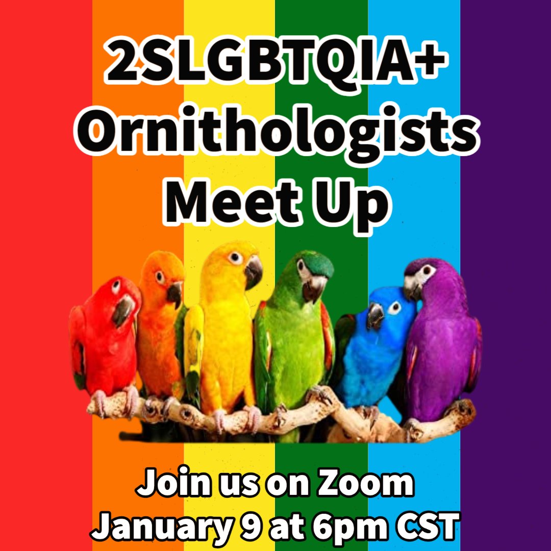 SCO_SOC's tweet photo. TONIGHT!!! Another 2SLGBTQIA+ ornithologists' meetup at 6pm CST! We’ll chat with a queer ornithologist about setting up a banding program in the Caribbean &amp; about working in countries less welcoming to 2SLGBTQIA+ folks.
💻: https://t.co/Rsm0atN8c0.
❓: nicola.koper@umanitoba.ca https://t.co/clw4S1LD6T