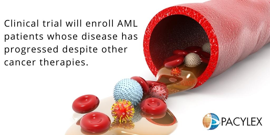 pacylex's tweet photo. By targeting cancers with increased dysregulated myristoylation, PCLX-001 can selectively kill cancer cells while sparing healthy cells.
https://t.co/uQay5macLt
#BiotechShowcase #BiotechShowcase2023 #Pacylex #cancertherapy #leukemia #lymphoma #PCLX-001 https://t.co/tZOvLi4qeD