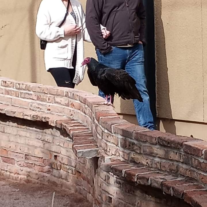 DrakeFowler18's tweet image. 