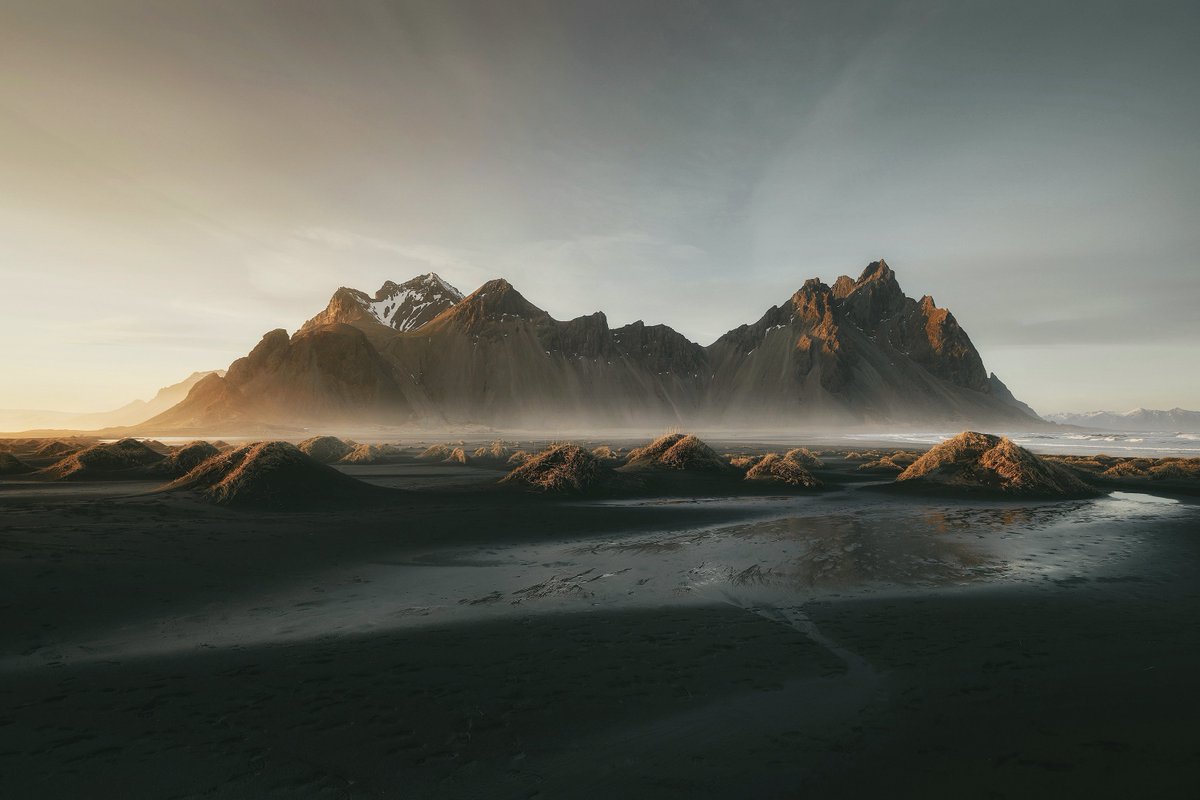 Tom Quan tweet media