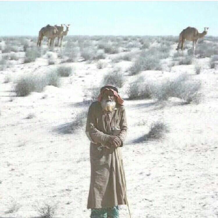 اسعى لرزقي بالمشي والتواقيف
ارجي لعل الحظ تسمن ضعافه
.
أصبر ولو ثوبي على الساق ورهيف
بالستر يـا زينـه ولـو هـو لفافـه